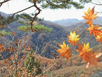 最新新炽天使剑魔视频